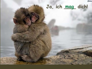 Ja, ich ____ dich!mag
 