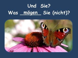 Und Sie?
Was _______ Sie (nicht)?mögen
 