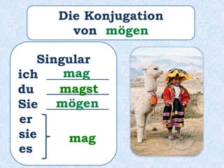 Singular
ich __________
du __________
Sie __________
er ______
sie ______
es ______
mag
magst
mögen
mag
Die Konjugation
von mögen
 