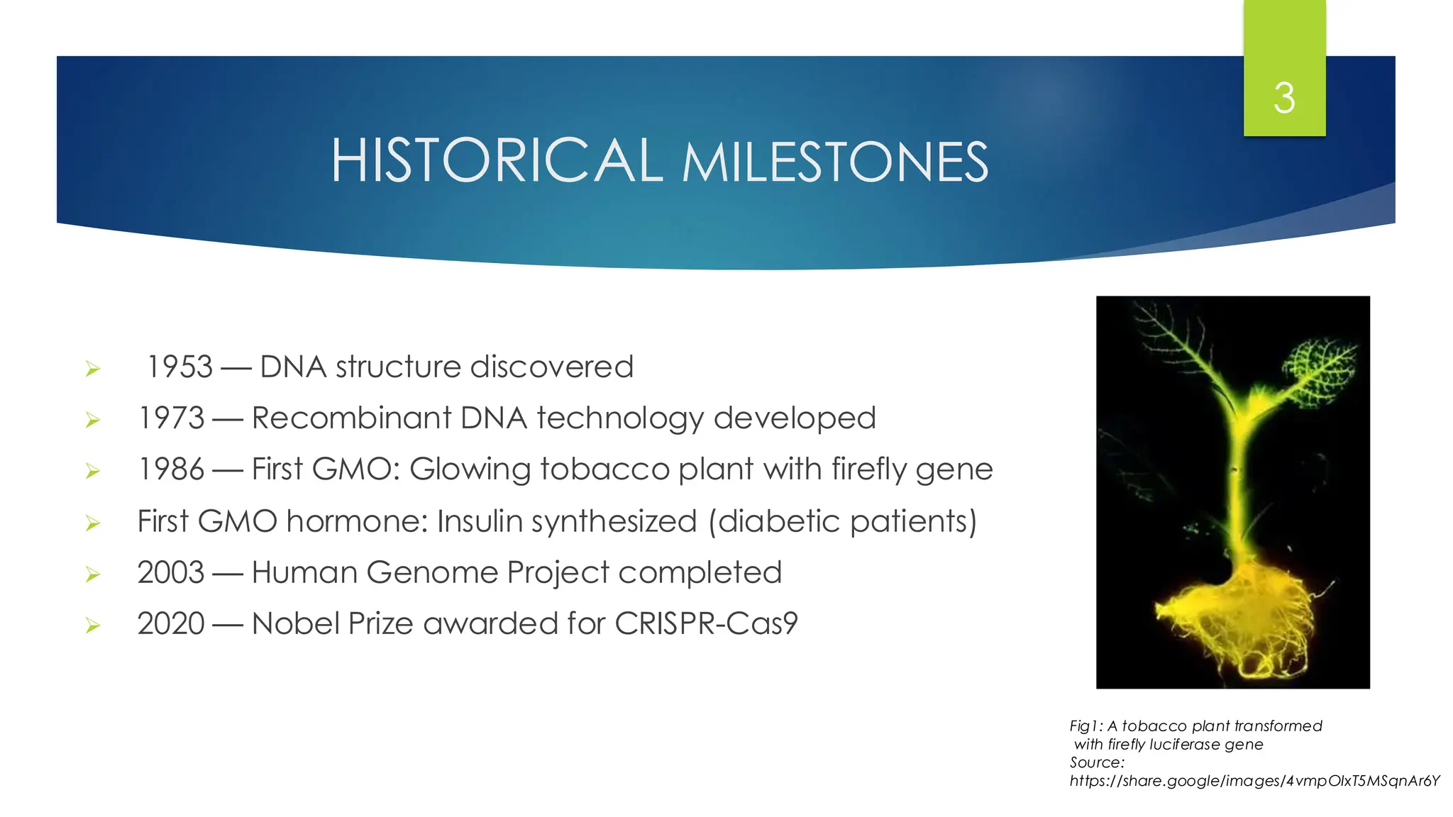 HISTORICAL MILESTONES
➢ 1953 — DNA structure discovered
➢ 1973 — Recombinant DNA technology developed
➢ 1986 — First GMO: Glowing tobacco plant with firefly gene
➢ First GMO hormone: Insulin synthesized (diabetic patients)
➢ 2003 — Human Genome Project completed
➢ 2020 — Nobel Prize awarded for CRISPR-Cas9
3
Fig1: A tobacco plant transformed
with firefly luciferase gene
Source:
https://share.google/images/4vmpOIxT5MSqnAr6Y
 