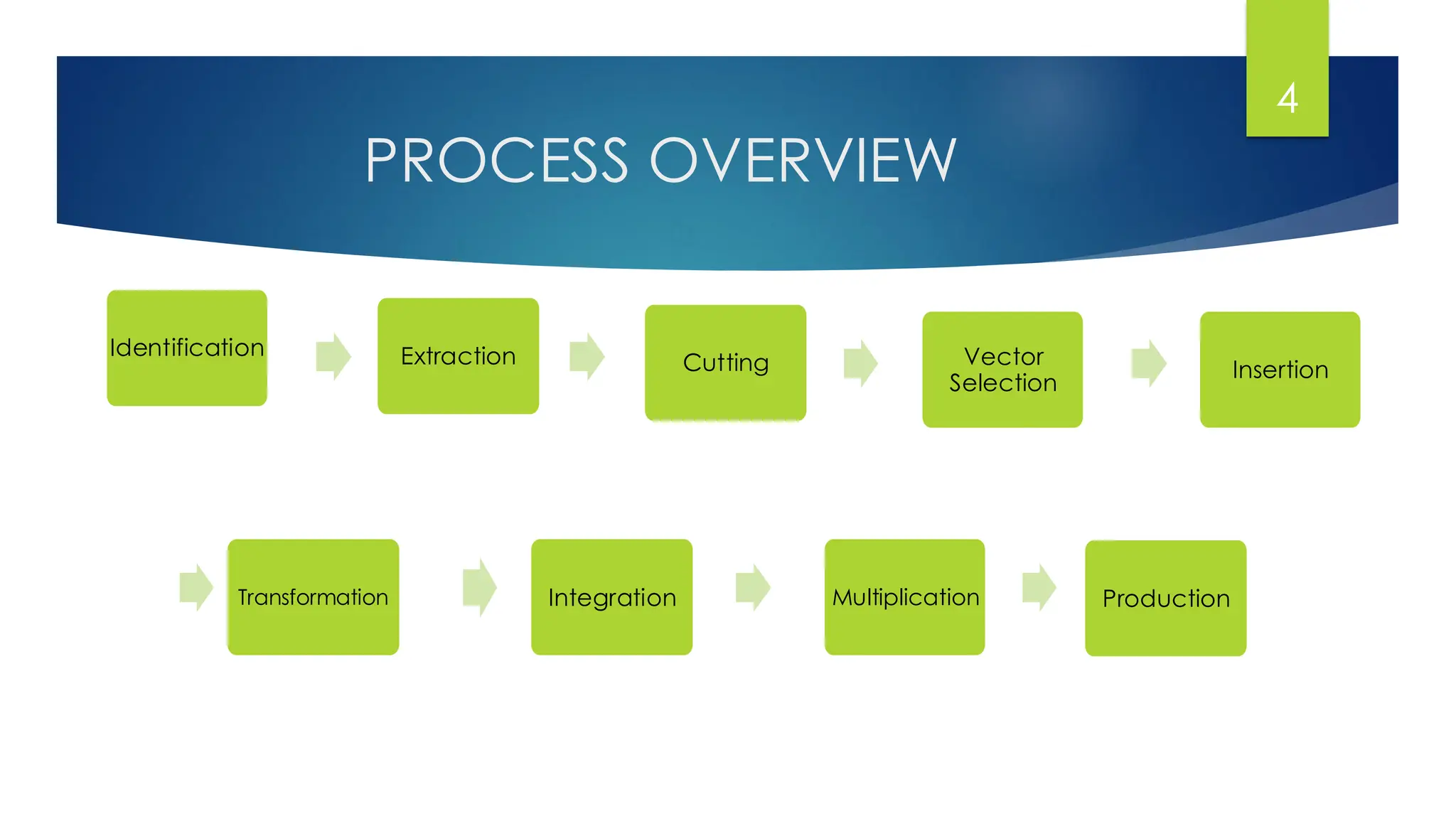 PROCESS OVERVIEW
4
Identification Extraction Cutting Vector
Selection
Insertion
Transformation Integration Multiplication Production
 