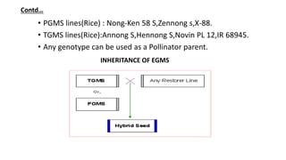 Genetic Engineering for Male Sterility in Plants | PPTX