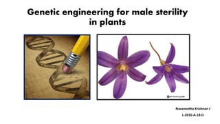 Genetic engineering for male sterility
in plants
Navaneetha Krishnan J
L-2016-A-18-D
 