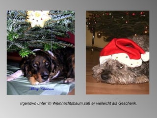 Irgendwo unter 'm Weihnachtsbaum,saß er vielleicht als Geschenk. 