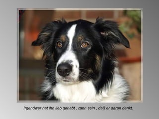 Irgendwer hat ihn lieb gehabt , kann sein , daß er daran denkt. 