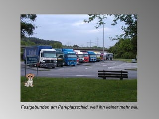 Festgebunden am Parkplatzschild, weil ihn keiner mehr will. 