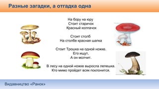 Видавництво «Ранок»
Разные загадки, а отгадка одна
На бору на юру
Стоит старичок
Красный колпачок
Стоит столб
На столбе красная шапка
Стоит Трошка на одной ножке.
Его ищут,
А он молчит.
В лесу на одной ножке выросла лепешка.
Кто мимо пройдет всяк поклонится.
 