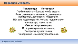 Видавництво «Ранок»
Народная мудрость
Пословицы Поговорки
Глубже пахать – больше хлеба видать.
Рожь две недели зеленится, две недели
наливается, две недели подсыхает.
Лён две недели цветёт, четыре недели спеет,
на седьмую семя летит.
Скороговорка-загадка
По корню- кривоколистенька,
Посередке суковатенька,
По вершинке - высококудреватенька.
 