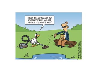 Gegen den strich wer