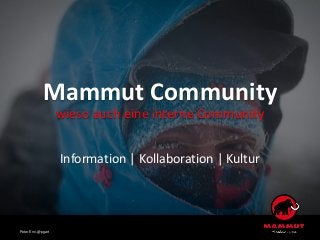 Mammut Community
wieso auch eine interne Community
Information | Kollaboration | Kultur
Peter Erni, @pgart
 