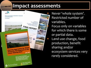 Mekong: The Challenges of Scale