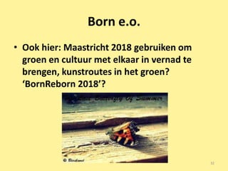 Born e.o.
• Ook hier: Maastricht 2018 gebruiken om
  groen en cultuur met elkaar in vernad te
  brengen, kunstroutes in het groen?
  ‘BornReborn 2018’?




                                             32
 