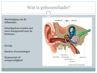 Wat is gehoorschade?Beschadiging van de trilhaartjes.Geluidsgolven worden niet meer doorgeseind naar de hersenen.Gevolg:tinnitus of oorsuizingenHyperacusis of overgevoeligheid