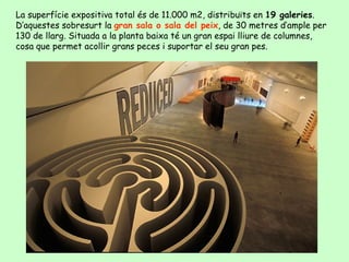 La superfície expositiva total és de 11.000 m2, distribuïts en 19 galeries.
D’aquestes sobresurt la gran sala o sala del peix, de 30 metres d’ample per
130 de llarg. Situada a la planta baixa té un gran espai lliure de columnes,
cosa que permet acollir grans peces i suportar el seu gran pes.
 