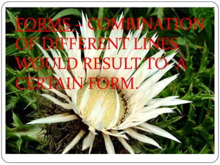 FORMS – COMBINATION OF DIFFERENT LINES WOULD RESULT TO  A  CERTAIN FORM. 