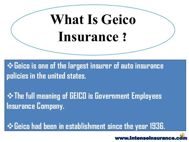 What are some policies offered by Geico insurance?