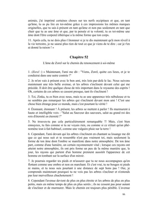 animée, j'ai imprimé certaines choses sur tes nerfs occipitaux et que, en tant
qu'âme, tu as pu lire en toi-même grâce à ces impressions les mêmes marques
originelles, que tu sais à présent en tant qu'âme et non pas seulement en tant que
chair que tu as une âme et que, par ta pensée et ta volonté, tu es toi-même une
âme dont l'être corporel éthérique a la même forme que ton corps.
11. Après cela, tu ne dois plus t’étonnner si je te dis maintenant qu'à mon réveil à
la vie terrestre, je ne saurai plus rien de tout ce que je viens de te dire ; car je t'en
ai donné la raison ! »


                                    Chapitre 52
             L'âme de Zorel sur le chemin du renoncement à soi-même

1. (Zorel :) « Maintenant, l'ami me dit : "Viens, Zorel, quitte ces lieux, et je te
conduirai dans une autre contrée !"
2. Je m'en vais à présent avec le bon ami, très loin par-delà le lac. Nous suivons
maintenant une très belle avenue, et les arbres s'inclinent devant celui qui me
précède. Il doit être quelque chose de très important dans le royaume des esprits !
Oh, certains de ces arbres se cassent presque, tant ils s'inclinent !
3. Toi, Zinka, tu es bien avec nous, mais tu as une apparence très nébuleuse et tu
ne sembles pas remarquer les arbres qui s'inclinent devant mon ami ! C'est une
chose bien étrange pour ce monde, mais c'est pourtant la vérité !
4. Étonnant, étonnant ! À présent, les arbres se mettent à parler ! Ils murmurent à
haute et intelligible voix : "Salut au Sauveur des sauveurs, salut au grand roi des
rois d'éternité en éternité !"
5. Ne trouves-tu pas cela particulièrement remarquable ?! Mais, c'est bien
ennuyeux, tu fais comme si tu ne voyais rien, ou comme si ce n'était qu'un phé-
nomène tout à fait habituel, comme une vulgaire pluie sur la terre !
6. Cependant, l'ami devant qui les arbres s'inclinent en chantant sa louange me dit
que ce qui nous suit et te ressemble n'est pas vraiment toi, mais seulement la
forme de ton âme dont l'ombre se manifeste dans notre atmosphère. De ton âme
part, comme d'une lumière, un certain rayonnement vital ; lorsque ces rayons ont
atteint notre atmosphère, ils ont pris forme un peu de la même manière que, le
jour, les rayons qui partent d'un homme prennent aussitôt l'apparence de cet
homme en tombant sur la surface d'un miroir.
7. Je pourrais regarder tes pieds et m'assurer que tu ne nous accompagnes qu'en
flottant comme une ombre et non en marchant. Et c'est vrai, tu ne bouges ni pieds
ni mains, et tu nous suis pourtant à une distance de sept bons pas ! Oui, je
comprends maintenant pourquoi tu ne vois pas les arbres s'incliner et n'entends
pas leur merveilleux chuchotement !
8. Cependant l'avenue devient de plus en plus étroite et les arbres de plus en plus
petits, mais en même temps de plus en plus serrés ; ils ne cessent pas pour autant
de s'incliner et de murmurer. Mais le chemin est toujours plus pénible. L'avenue

                                                                                  86
 