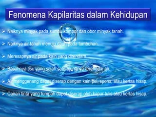 Fenomena Kapilaritas dalam Kehidupan
 Naiknya minyak pada sumbu kompor dan obor minyak tanah.
 Naiknya air tanah menuju daun pada tumbuhan.
 Meresapnya air pada kain yang direndam.
 Basahnya tisu yang salah satu ujungnya terendam air.
 Air menggenang dapat diserap dengan kain pel, spons, atau kertas hisap.
 Cairan tinta yang tumpah dapat diserap oleh kapur tulis atau kertas hisap.
 