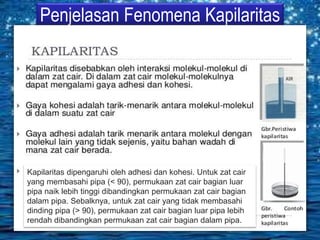 Penjelasan Fenomena Kapilaritas
Kapilaritas dipengaruhi oleh adhesi dan kohesi. Untuk zat cair
yang membasahi pipa (< 90), permukaan zat cair bagian luar
pipa naik lebih tinggi dibandingkan permukaan zat cair bagian
dalam pipa. Sebalknya, untuk zat cair yang tidak membasahi
dinding pipa (> 90), permukaan zat cair bagian luar pipa lebih
rendah dibandingkan permukaan zat cair bagian dalam pipa.
 