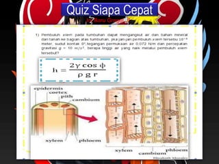 Quiz Siapa Cepat
Ini Baru Greget..!!
 