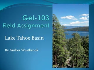 By Amber Westbrook
Lake Tahoe Basin
 