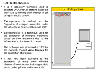 Gel Electrophoresis
• It is a laboratory technique used to
separate DNA, RNA or proteins based on
their size by moving them through a gel
using an electric current.
• Electrophoresis is defined as the
“migration of charged molecules under
the influence of an external electric field”
• Electrophoresis is a technique used for
the separation of biological molecules
based on their movement due to the
influence of a direct electric current.
• The technique was pioneered in 1937 by
the Swedish chemist Arne Tiselius for
the separation of proteins.
• It has now been extended to the
separation of many other different
classes of biomolecules including nucleic
acids, carbohydrates and amino acids.
 