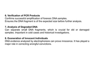 6. Verification of PCR Products
Confirms successful amplification of forensic DNA samples.
Ensures the DNA fragment is of the expected size before further analysis.
7. Analysis of Degraded DNA
Can separate small DNA fragments, which is crucial for old or damaged
samples. Important in cold cases and historical investigations.
8. Exoneration of Innocent Individuals
DNA evidence analyzed by electrophoresis can prove innocence. It has played a
major role in correcting wrongful convictions.
 
