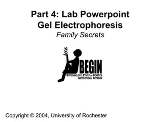 Part 4: Lab Powerpoint
Gel Electrophoresis
Family Secrets
Copyright © 2004, University of Rochester
 
