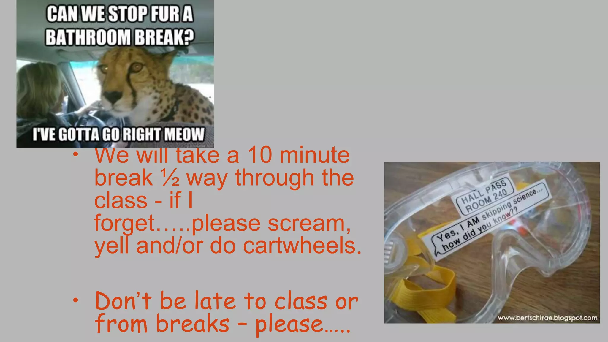 • We will take a 10 minute
break ½ way through the
class - if I
forget…..please scream,
yell and/or do cartwheels.
• Don’t be late to class or
from breaks – please…..
 