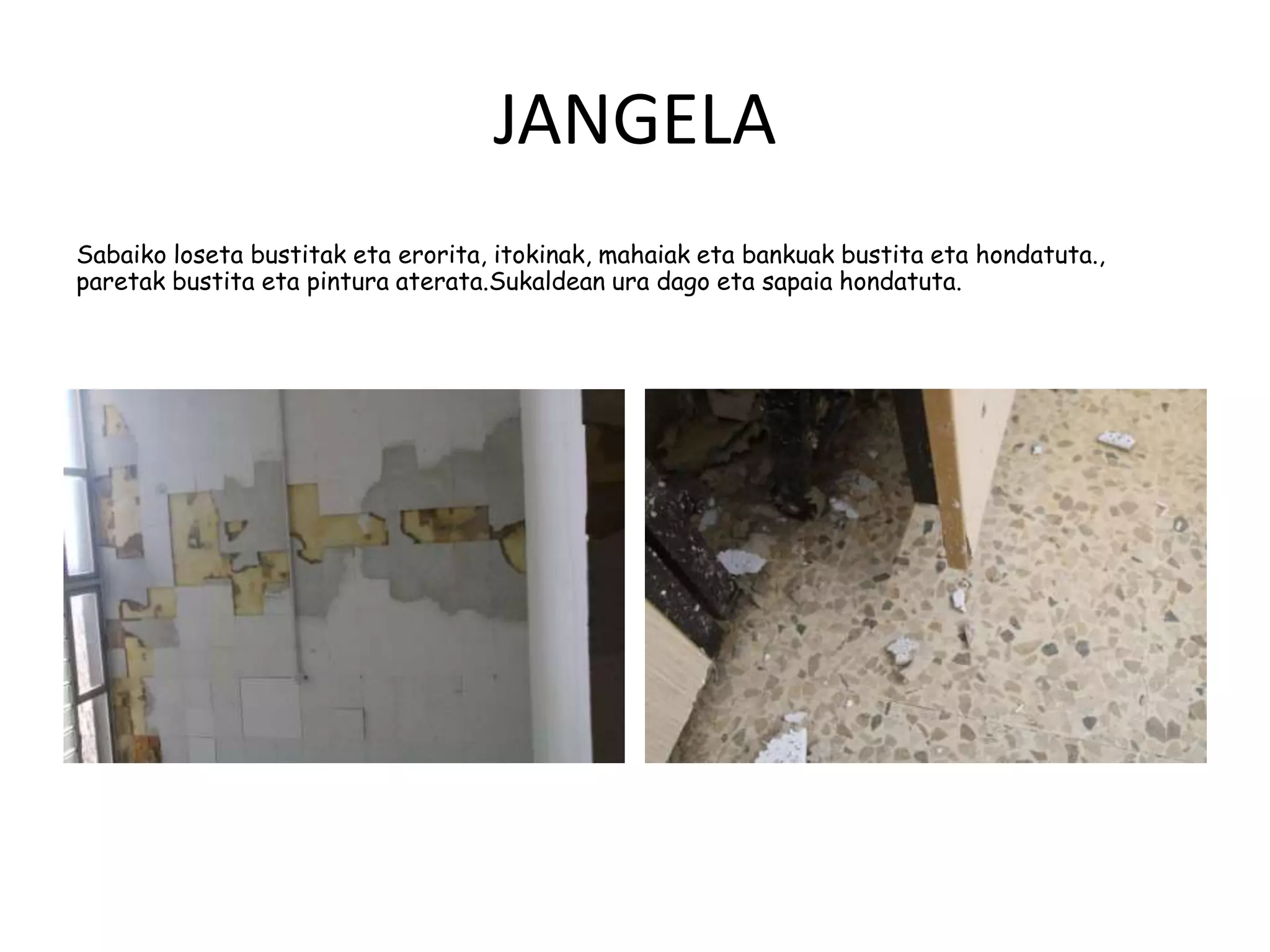 JANGELA
Sabaiko loseta bustitak eta erorita, itokinak, mahaiak eta bankuak bustita eta hondatuta.,
paretak bustita eta pintura aterata.Sukaldean ura dago eta sapaia hondatuta.
 