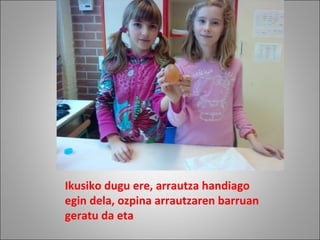 Ikusiko dugu ere, arrautza handiago
egin dela, ozpina arrautzaren barruan
geratu da eta
 