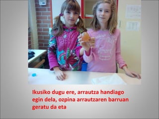 Ikusiko dugu ere, arrautza handiago egin dela, ozpina arrautzaren barruan geratu da eta 