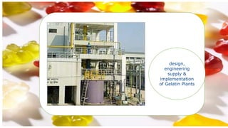 design,
engineering
supply &
implementation
of Gelatin Plants
 