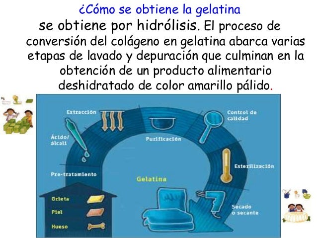 Gelatina[1]