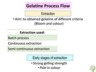 Gelatine | PDF