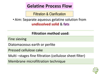 Gelatine | PDF