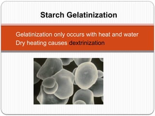 Gelatinisation retrogradation of starch july 2009.pptx