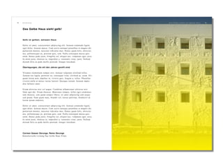 Das Gelbe Haus sieht gelb!
12 13E i n e F a r b e e r o b e r t e i n g a n z e s H a u s .
Gelb im gelben, weissen Haus
Dolor sit amet, consectetuer adipiscing elit. Aenean commodo ligula
eget dolor. Aenean massa. Cum sociis natoque penatibus et magnis dis
parturient montes, nascetur ridiculus mus. Donec quam felis, ultricies
nec, pellentesque eu, pretium quis, sem. Nulla consequat massa quis
enim. Donec pede justo, fringilla vel, aliquet nec, vulputate eget, arcu.
In enim justo, rhoncus ut, imperdiet a, venenatis vitae, justo. Nullam
dictum felis eu pede mollis pretium. Integer tincidunt.
Überlegungen, die mit den Jahren gereift sind
Vivamus elementum semper nisi. Aenean vulputate eleifend tellus.
Aenean leo ligula, porttitor eu, consequat vitae, eleifend ac, enim. Ali-
quam lorem ante, dapibus in, viverra quis, feugiat a, tellus. Phasellus
viverra nulla ut metus varius laoreet. Quisque rutrum. Aenean imper-
diet fallunis amet..
Etiam ultricies nisi vel augue. Curabitur ullamcorper ultricies nisi.
Nam eget dui. Etiam rhoncus. Maecenas tempus, tellus eget condimen-
tum rhoncus, sem quam semper libero, sit amet adipiscing sem neque
sed ipsum. Nam quam nunc, blandit vel, luctus pulvinar, hendrerit id,
lorem ipsum endetere.
Dolor sit amet, consectetuer adipiscing elit. Aenean commodo ligula
eget dolor. Aenean massa. Cum sociis natoque penatibus et magnis dis
parturient montes, nascetur ridiculus mus. Donec quam felis, ultricies
nec, pellentesque eu, pretium quis, sem. Nulla consequat massa quis
enim. Donec pede justo, fringilla vel, aliquet nec, vulputate eget, arcu.
In enim justo, rhoncus ut, imperdiet a, venenatis vitae, justo. Nullam
dictum felis eu pede mollis pretium. Integer tincidunt.
Carmen Gasser Derungs, Remo Derungs
Künstlerische Leitung Das Gelbe Haus Flims
E i n l e i t u n g
 