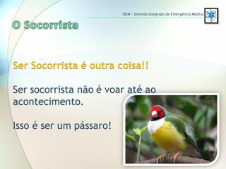 Ser Socorrista é outra coisa!!
Ser socorrista não é voar até ao
acontecimento.
Isso é ser um pássaro!
SIEM – Sistema Integrado de Emergência Médica
 