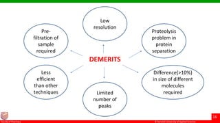 © Ramaiah University of Applied Sciences
16
Faculty of Pharmacy © Ramaiah University of Applied Sciences
16
Faculty of Pharmacy © Ramaiah University of Applied Sciences
16
Faculty of Pharmacy © Ramaiah University of Applied Sciences
16
Faculty of Pharmacy
DEMERITS
Low
resolution
Proteolysis
problem in
protein
separation
Pre-
filtration of
sample
required
Less
efficient
than other
techniques Limited
number of
peaks
Difference(>10%)
in size of different
molecules
required
 
