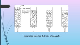 GEL CHROMATOGRAPHY : Principles and Applications | PPTX