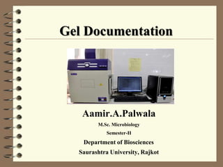 Gel Documentation

Aamir.A.Palwala
M.Sc. Microbiology

Semester-II

Department of Biosciences
Saurashtra University, Rajkot

 