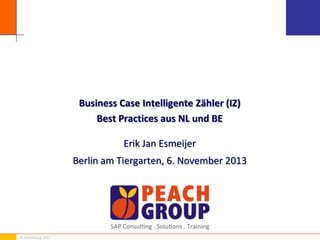Business Case Intelligente Zähler (IZ)
Best Practices aus NL und BE
Erik Jan Esmeijer
Berlin am Tiergarten, 6. November 2013

© PeachGroup 2013

 
