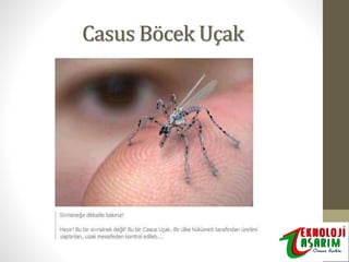 Casus Böcek Uçak

 