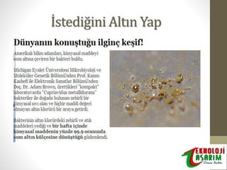İstediğini Altın Yap

 