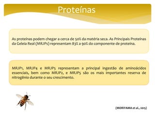 Proteínas
As proteínas podem chegar a cerca de 50% da matéria seca. As Principais Proteínas
da Geleia Real (MRJPs) representam 83% a 90% do componente de proteína.
MRJP1, MRJP4 e MRJP5 representam a principal ingestão de aminoácidos
essenciais, bem como MRJP2, e MRJP5 são os mais importantes reserva de
nitrogênio durante o seu crescimento.
(MORIYAMA et al., 2015)
 