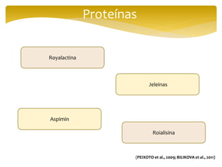 Proteínas
Royalactina
Jeleinas
Aspimin
Roialisina
(PEIXOTO et al., 2009; BILIKOVA et al., 2011)
 
