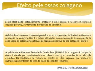 Efeito pele ossos colageno
A Geleia Real como um todo ou alguns dos seus componentes individuais estimulam a
produção de colágeno tipo I e outras atividades para a formação óssea através da
ação sobre os osteoblastos através de regulação positiva de pró-colágeno I alpha 1.
A geleia real e Protease Tratada da Geleia Real (PRJ) inibiu a progressão da perda
óssea induzida por ovariectomia em cobaias num grau semelhante ao do 17b-
estradiol. Os resultados de cultura de tecidos in vitro sugerem que ambos os
nutrientes aumentaram do teor de cálcio dos tecidos femorais.
(PARK et al., 2011; HIDAKA et al., 2006)
Geleia Real pode potencialmente proteger a pele contra o fotoenvelhecimento
induzido por UVB, aumentando a produção de colágeno.
 