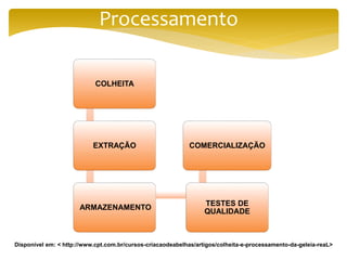 Processamento
COLHEITA
EXTRAÇÃO
ARMAZENAMENTO
TESTES DE
QUALIDADE
COMERCIALIZAÇÃO
Disponível em: < http://www.cpt.com.br/cursos-criacaodeabelhas/artigos/colheita-e-processamento-da-geleia-reaL>
 