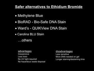 Safer alternatives to Ethidium Bromide
 Methylene Blue
 BioRAD - Bio-Safe DNA Stain
 Ward’s - QUIKView DNA Stain
 Carolina BLU Stain
…others
advantages
Inexpensive
Less toxic
No UV light required
No hazardous waste disposal
disadvantages
Less sensitive
More DNA needed on gel
Longer staining/destaining time
 